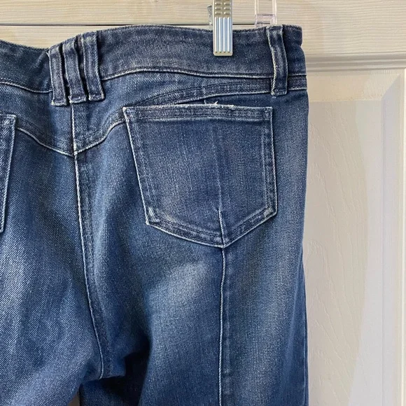 Balmain PARIS, Women’s jean pant size 42, US Women’s size 10, 11, no tears.